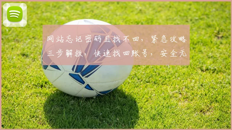 网站忘记密码且找不回，紧急攻略三步解救，快速找回账号，安全无忧