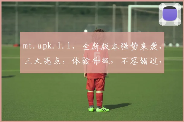 mt.apk.1.1，全新版本强势来袭，三大亮点，体验升级，不容错过，速来下载
