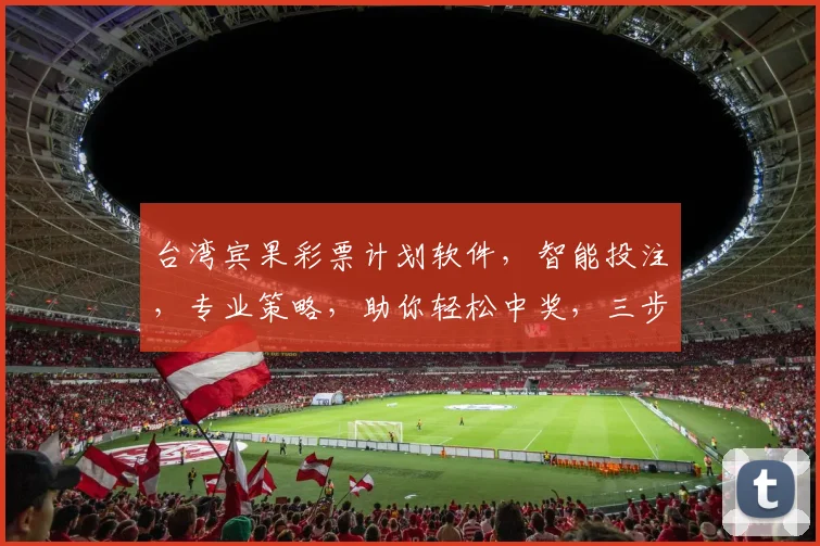 台湾宾果彩票计划软件，智能投注，专业策略，助你轻松中奖，三步到位