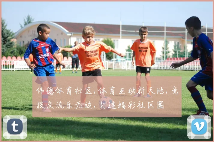 伟德体育社区,体育互动新天地,竞技交流乐无边,打造精彩社区圈