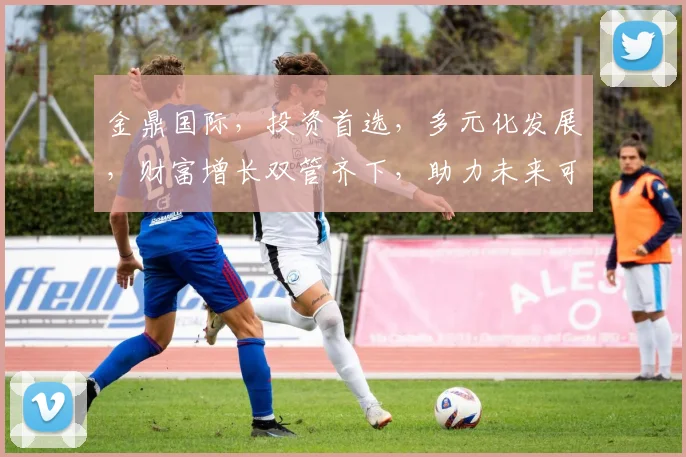 金鼎国际，投资首选，多元化发展，财富增长双管齐下，助力未来可期